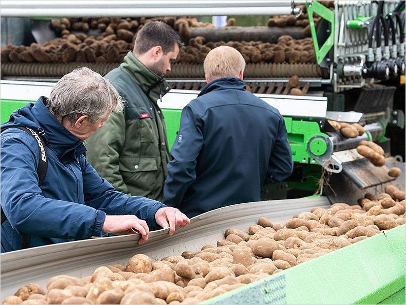 2020 год в Брянской области будет Годом картофеля