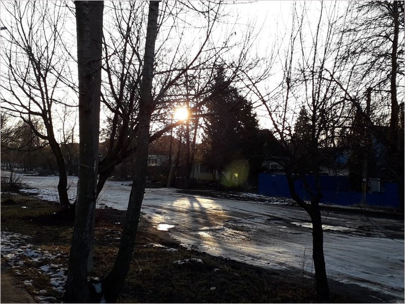 Январь-2020 в Брянске стал рекордно тёплым за всё время метеонаблюдений