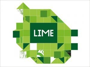 Фестиваль социальной рекламы LIME объявил спецноминацию LIME.TikTok