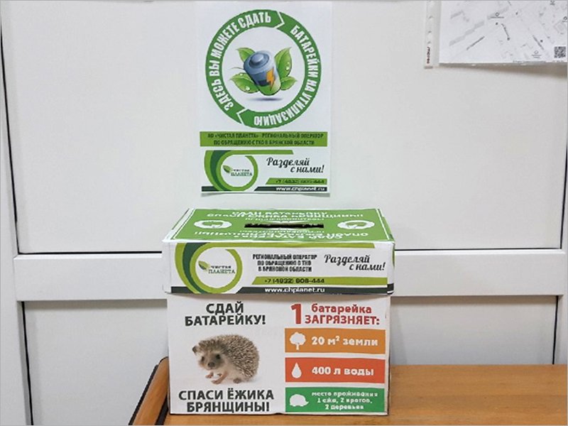 В школах Брянска в апреле пройдёт акция «Сдай батарейку —  спаси ёжика Брянщины»