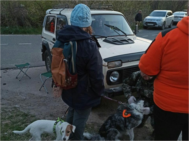 Брянские спасатели-добровольцы выехали в Курскую область на поиски трёхлетнего мальчика