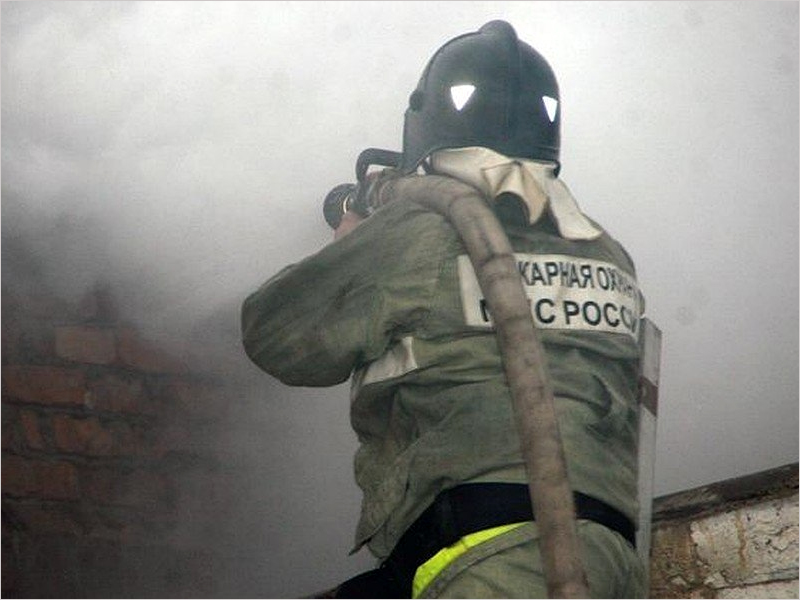 В трубевском селе Филипповичи в утреннем пожаре погибла женщина