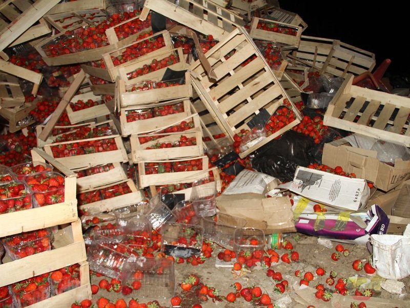 В Новозыбкове уничтожили две тонны подозрительной клубники
