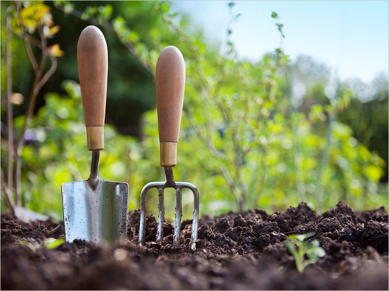Больше трети дачников увеличили расходы на товары для дачи и сада — создать запасы продовольствия