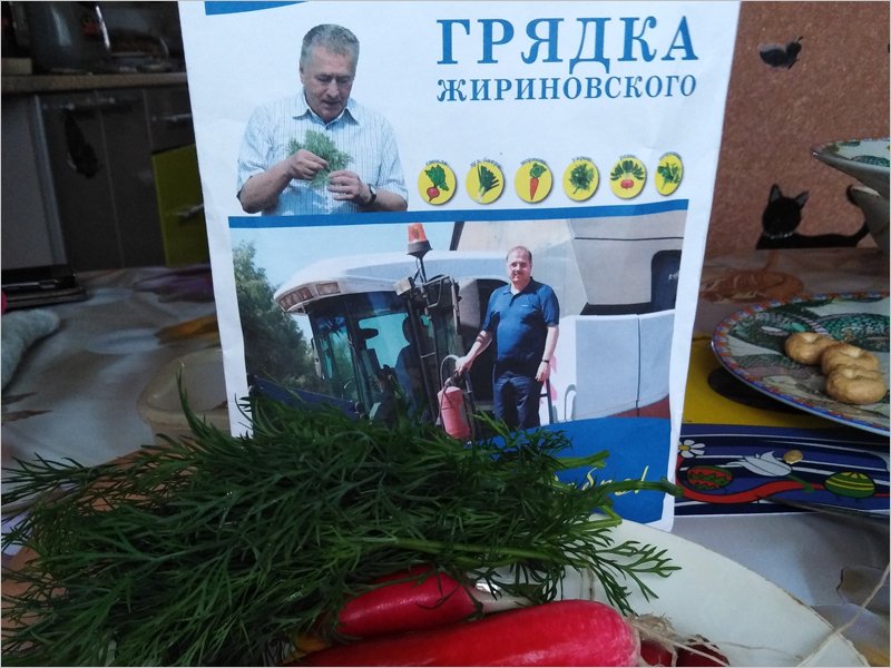 Брянский депутат Госдумы отчитался о посевной на «грядке Жириновского»