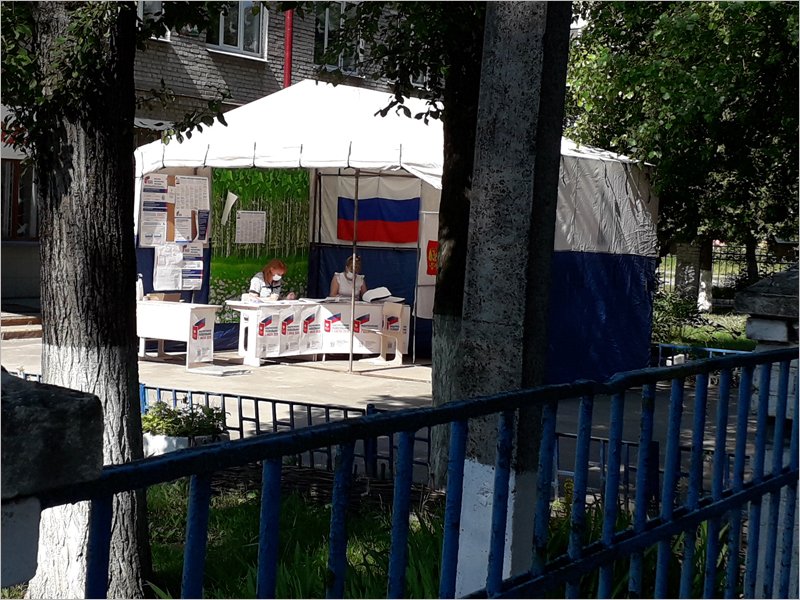 Явка на общероссийском голосовании в Брянской области уже добралась до уровня 56%