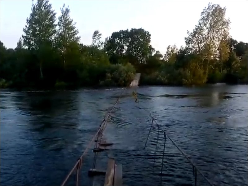 Подвесной мост в Жуковке может быть в очередной раз унесён паводком. Теперь летним, а не весенним
