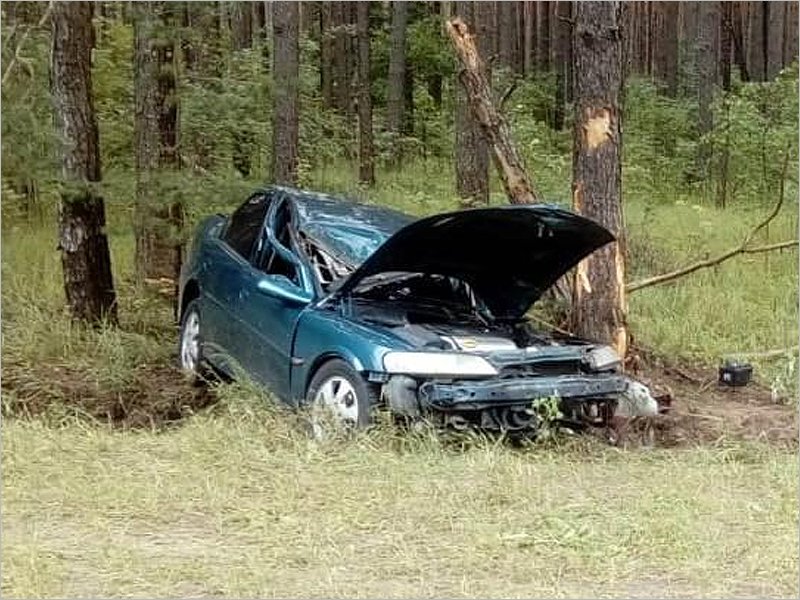 Двое молодых людей заехали на Opel’е в дерево. И отправились в больницу