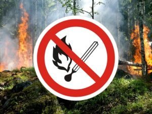 Роспотребнадзор начал мониторинг за качеством атмосферного воздуха в связи с лесными пожарами