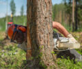 Брянские лесорубы вошли в десятку на конкурсе профмастерства «Лучший вальщик леса-2022»