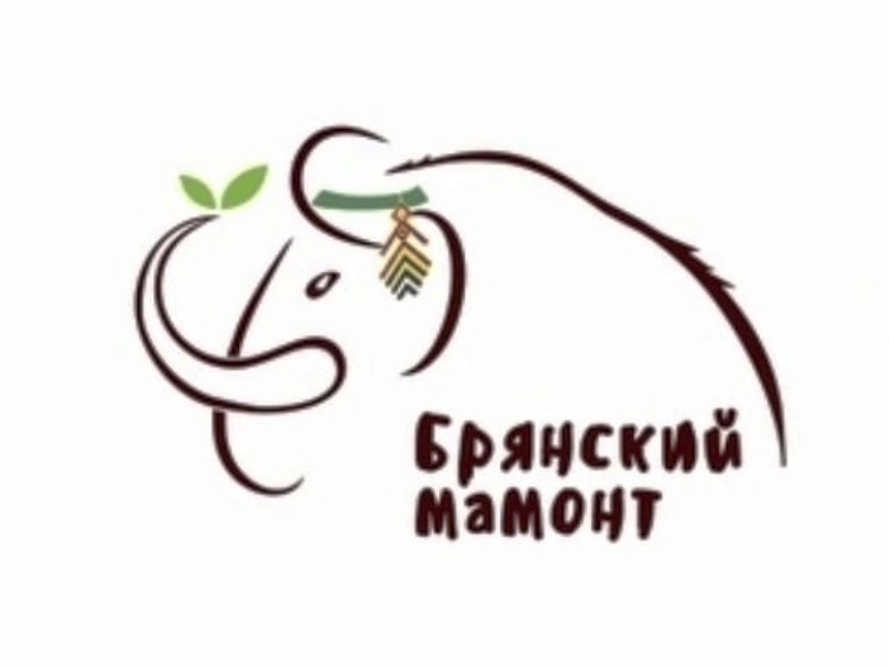 Фестиваль «Брянский мамонт» отменён третий раз подряд