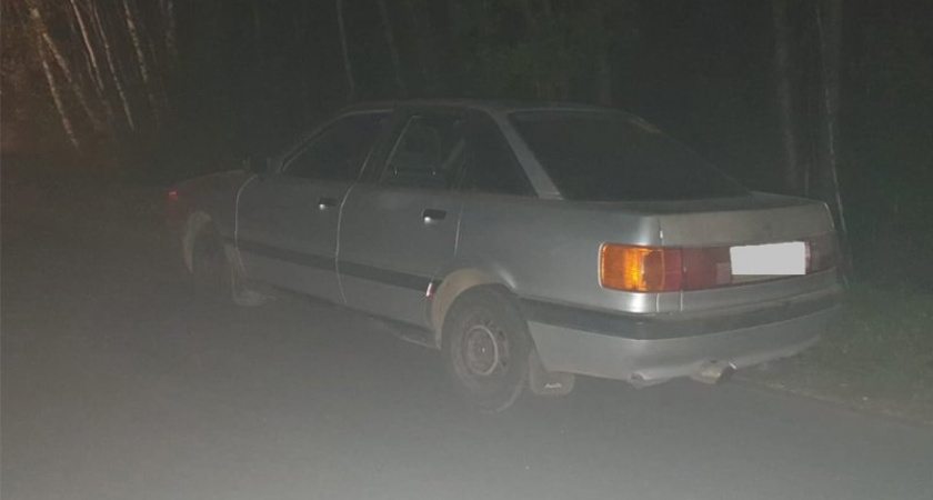 В Климовском районе полиция сняла с Audi пьяную малолетку