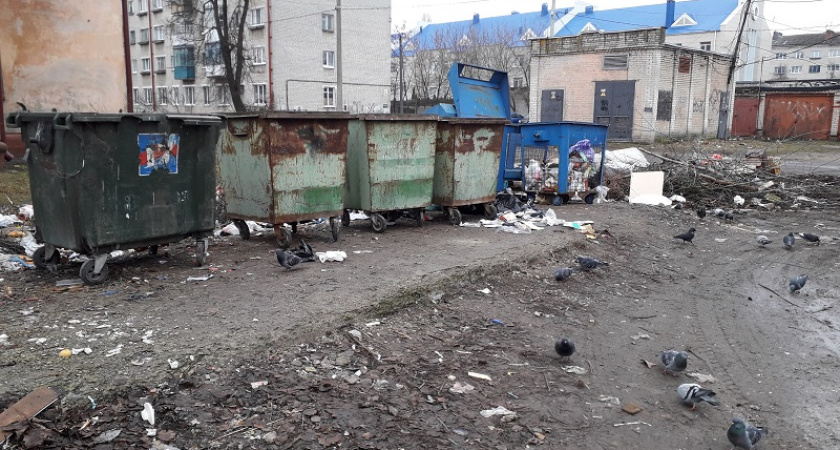 Мусорный ветер: штрафы, выставленные брянским властям за помойки вместо контейнерных площадок, в 1,5 раза превысили стоимость оборудования этих площадок