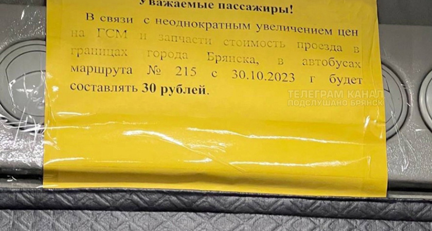 Повышение цен в брянских маршрутках растянуто во времени с 30 октября по 20 ноября