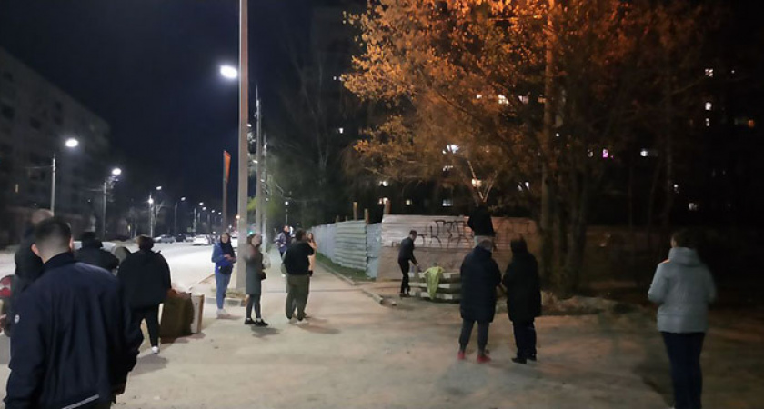 Спасти простого кота: в Брянске прохожие объединились ради снятия животного с дерева