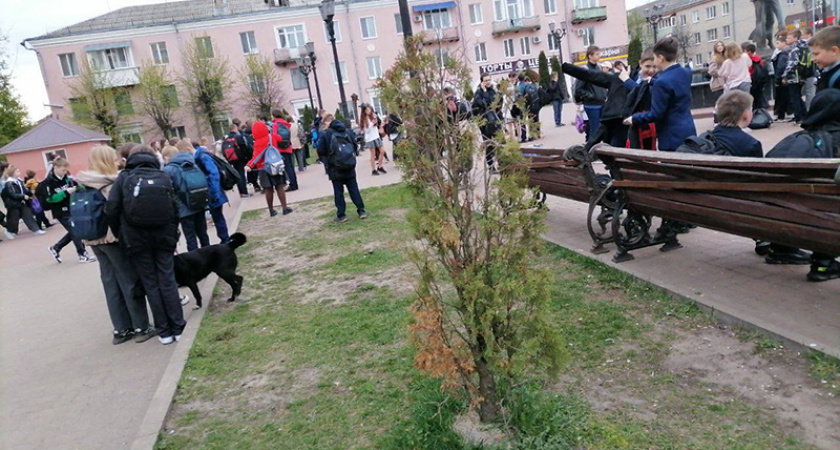 Ежедневная эвакуация школ в Клинцах «разменивает» четвёртую неделю