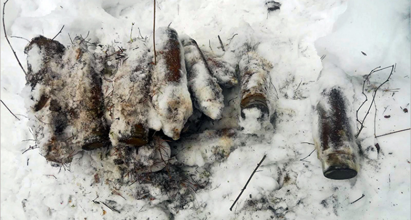 Схрон в брянском лесу: оперативники обнаружили около 100 кг взрывчатки в тротиловом эквиваленте