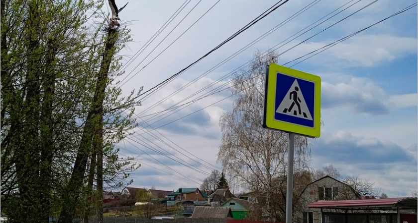 В брянском посёлке Большое Полпино погибают аисты