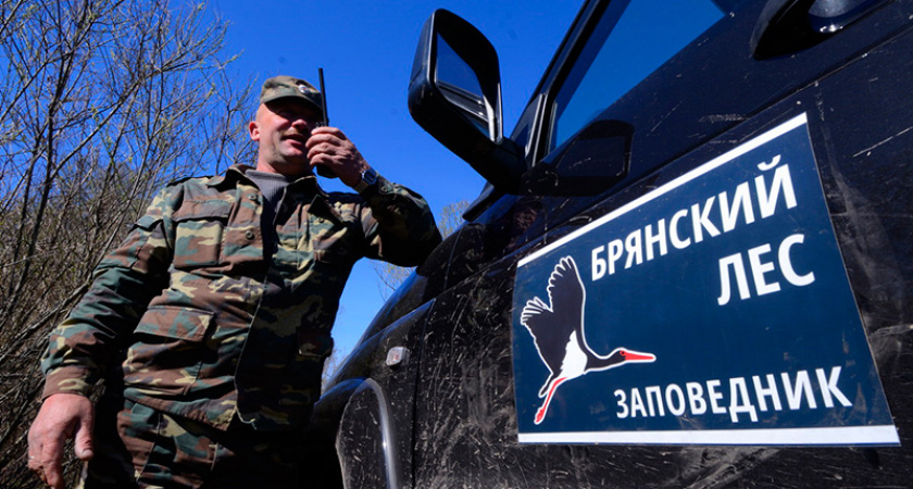 «Брянский лес» в день 35-летия подводит промежуточные итоги восстановления популяций медведя и зубра