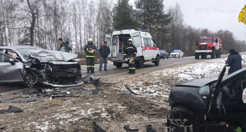 Под Погаром в лобовом столкновении сошлись две легковушки. Есть жертвы