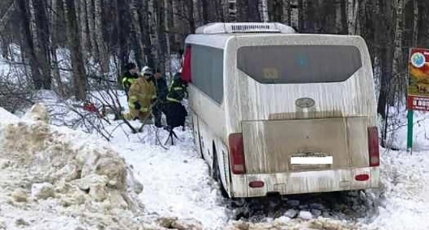 Калужская прокуратура выясняет причины ДТП с брянским автобусом