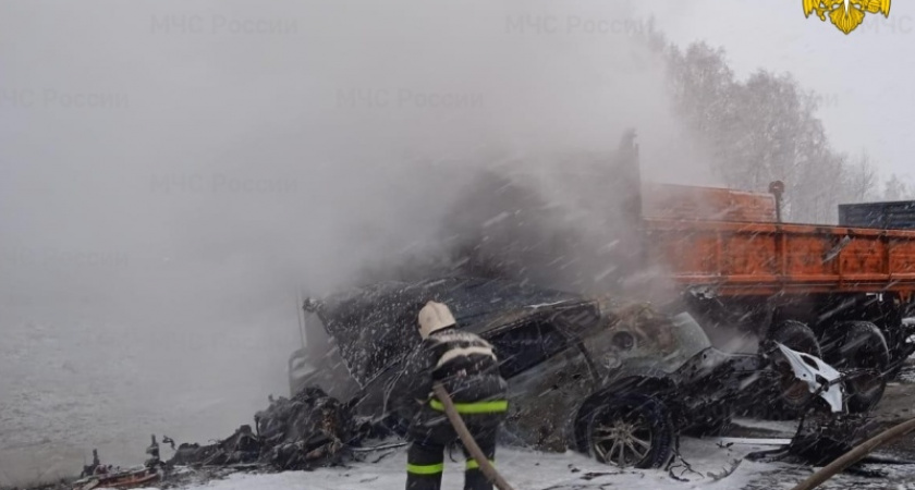 Под Почепом водитель внедорожника протаранил грузовик и сгорел в своей машине