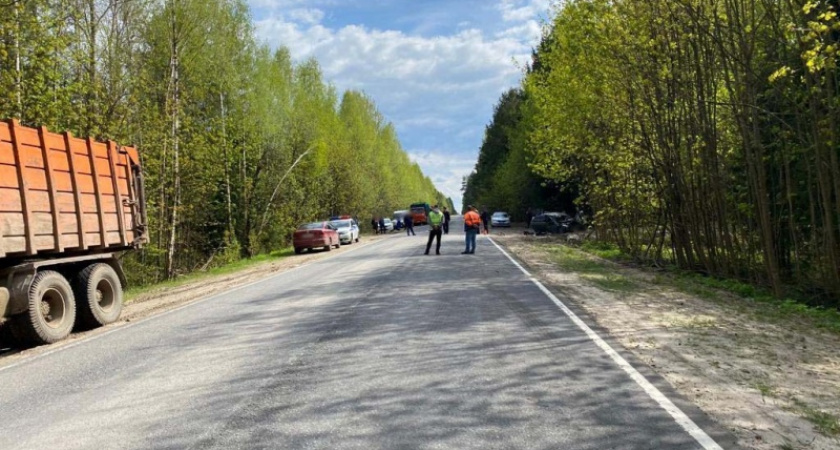 В аварии на автотрассе под Дятьково тяжёлые травмы получили двое детей детсадовского возраста