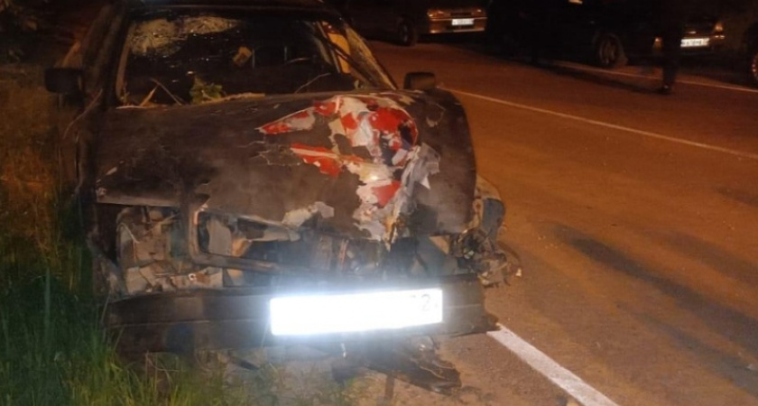Под Карачевом 18-летние молодые люди оказались в кустах. На Audi 80