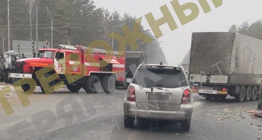 В массовом ДТП с военной техникой и фурой под Злынкой в Брянской области пострадали два человека