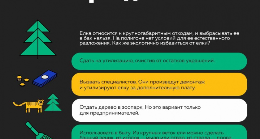 Ёлочная цикличность: что делать с ёлкой после праздников?