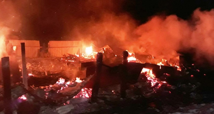 Пожары с начала года унесли в Брянской области почти 30 жизней