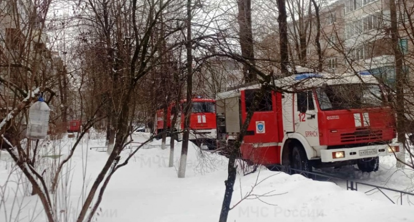 В Брянске в пожаре в своей квартире погиб мужчина