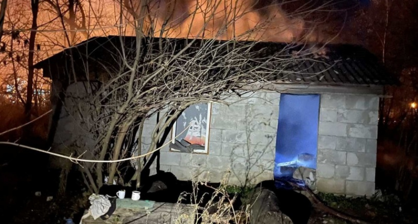 В ночных пожарах в Брянской области с начала года погибли 24 человека