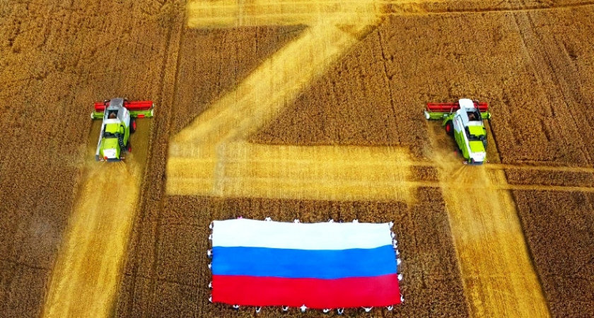 День государственного флага в Брянске: флешмоб в пшеничном поле, концерт и автопробег