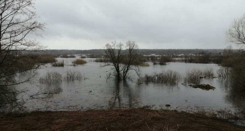 Паводок-2022: Десна в черте Брянска за день поднялась ещё почти на полметра