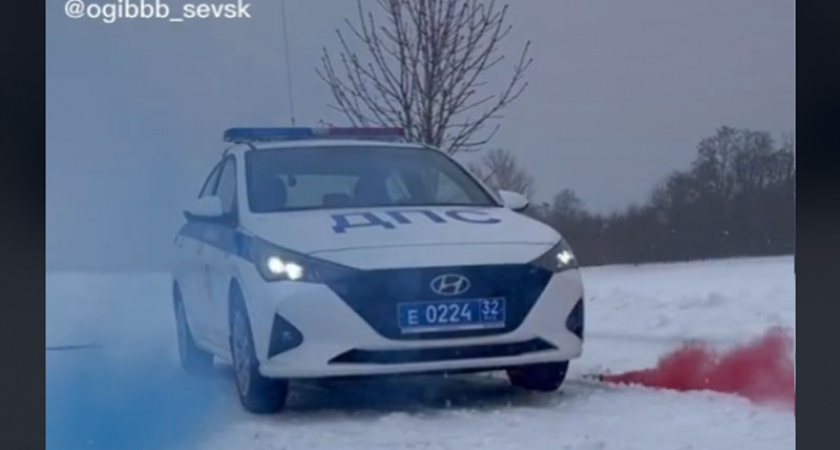 Брянские автоинспекторы набрали миллион просмотров в TikTok