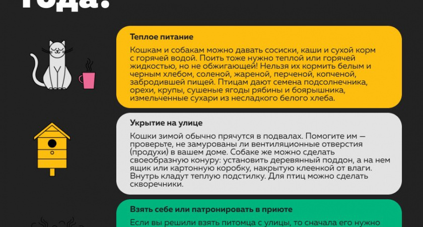 Как помочь бездомным животным в холодное время года