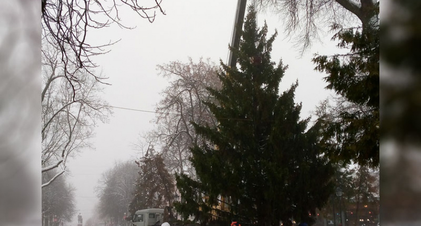 В Брянске установили главную городскую ёлку
