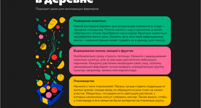 3 идеи для бизнеса в деревне