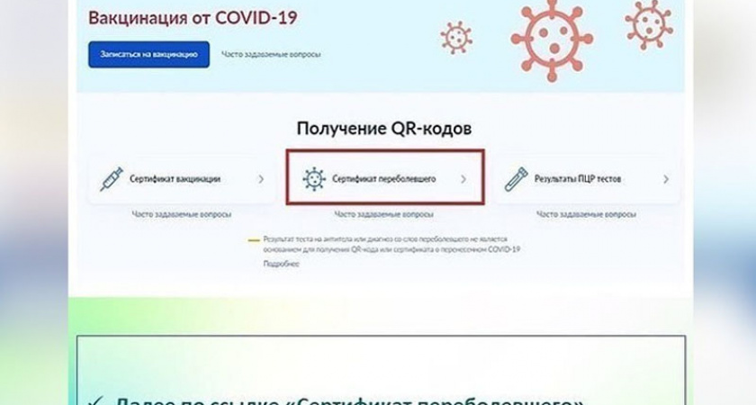 Минздрав РФ продлил действие сертификатов о перенесенном COVID-19 до года