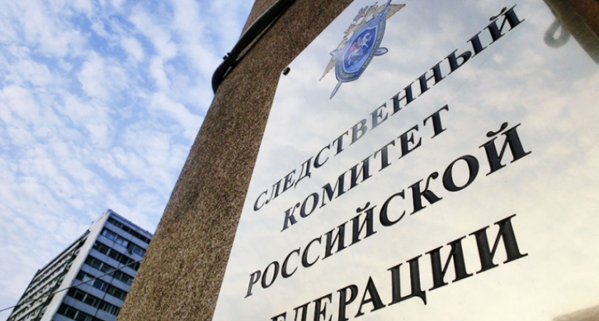 Их собачье дело: председатель СК РФ потребовал от региональных управлений исчерпывающих расследований нападений собак на людей