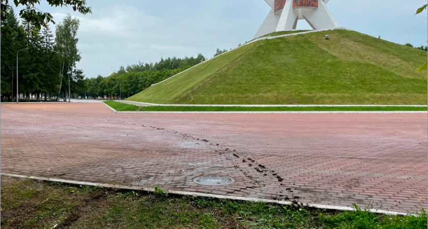 Бдительные жители Брянска возмутились использованием «Соловьёв» в качестве строительной свалки