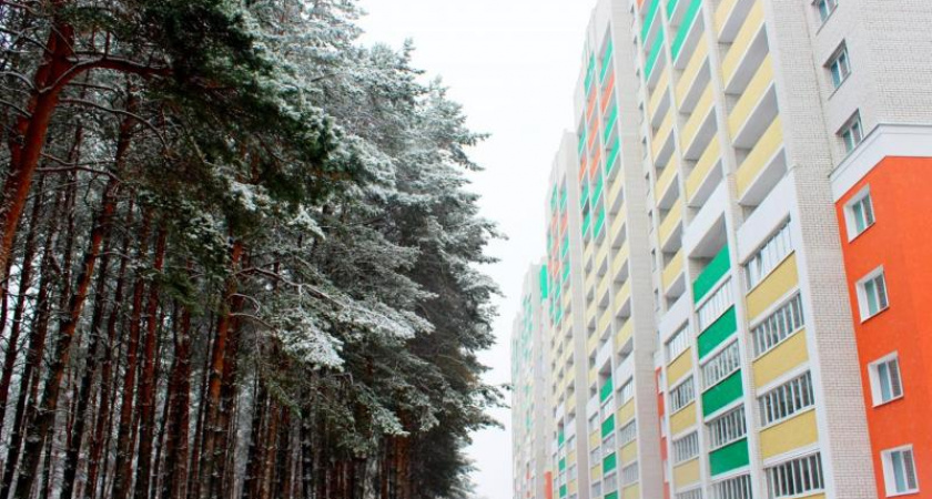 Брянская прокуратура промерила колеи в «Сосновом бору»