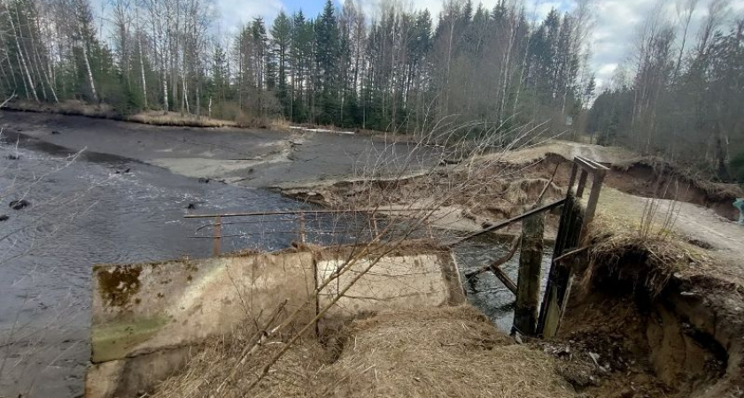 В Стеклянной Радице под Брянском прорвало плотину на лесном озере