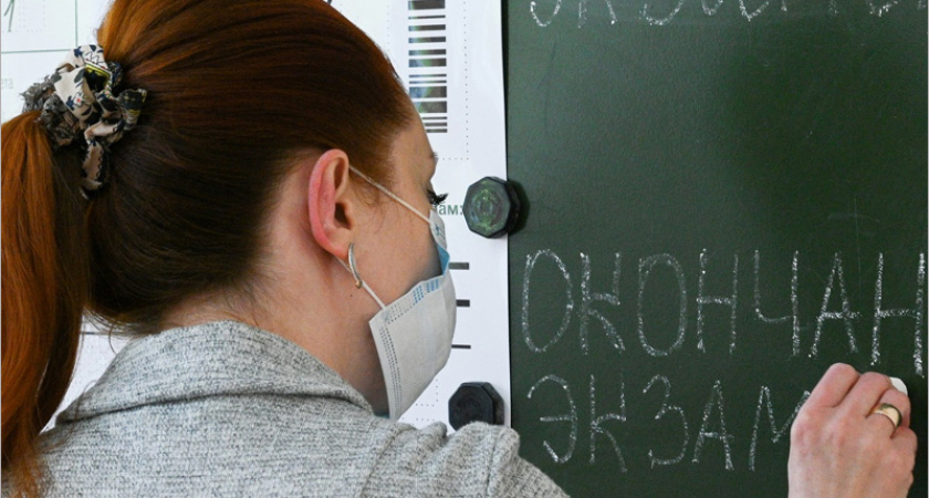 Три четверти российских учителей получают оклад ниже МРОТ - Минпросвещения