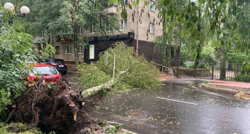 В Брянске в июле до сих пор не «выбрана» месячная норма осадков - синоптики