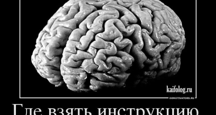 Всемирный день мозга: какими продуктами его можно человеку вправить