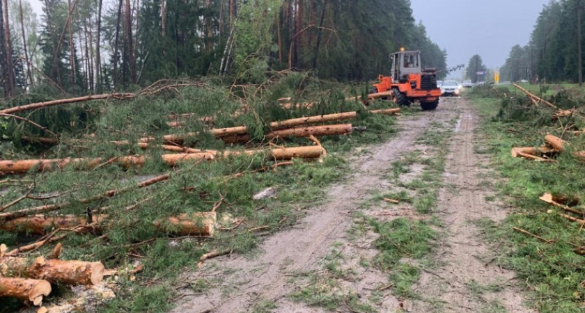 В Брянской области расчищают дороги после урагана, без света пока остаются 134 населённых пункта.