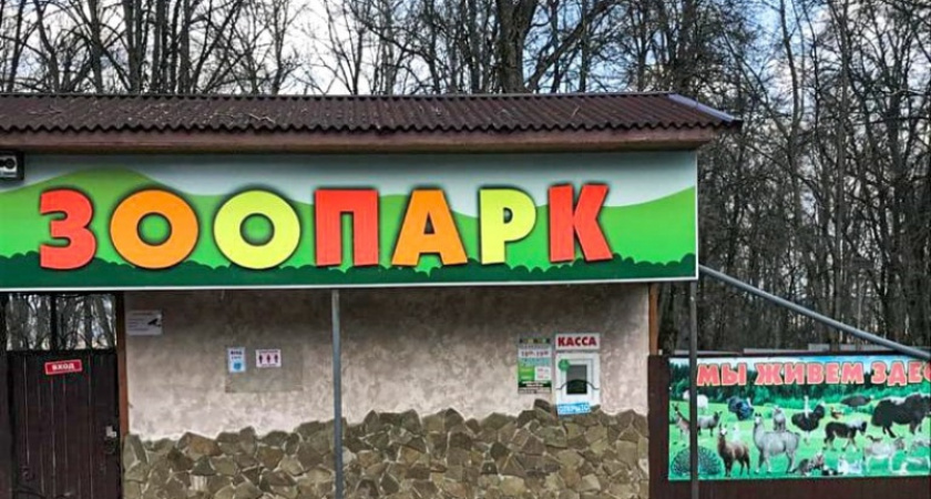 В Брянске с 1 апреля вырастет плата за вход в зоопарк