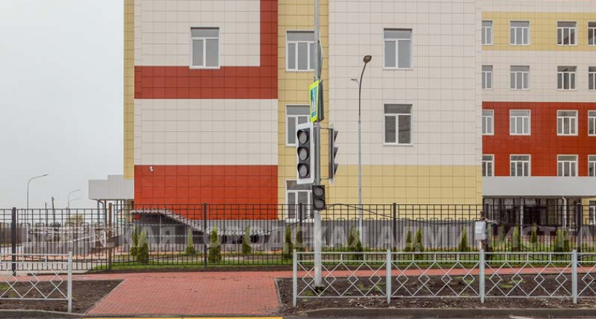 На новой улице Амосова в Брянске высадили липовую аллею